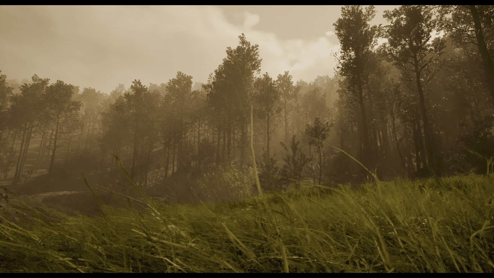Withering Horrors görsel 6