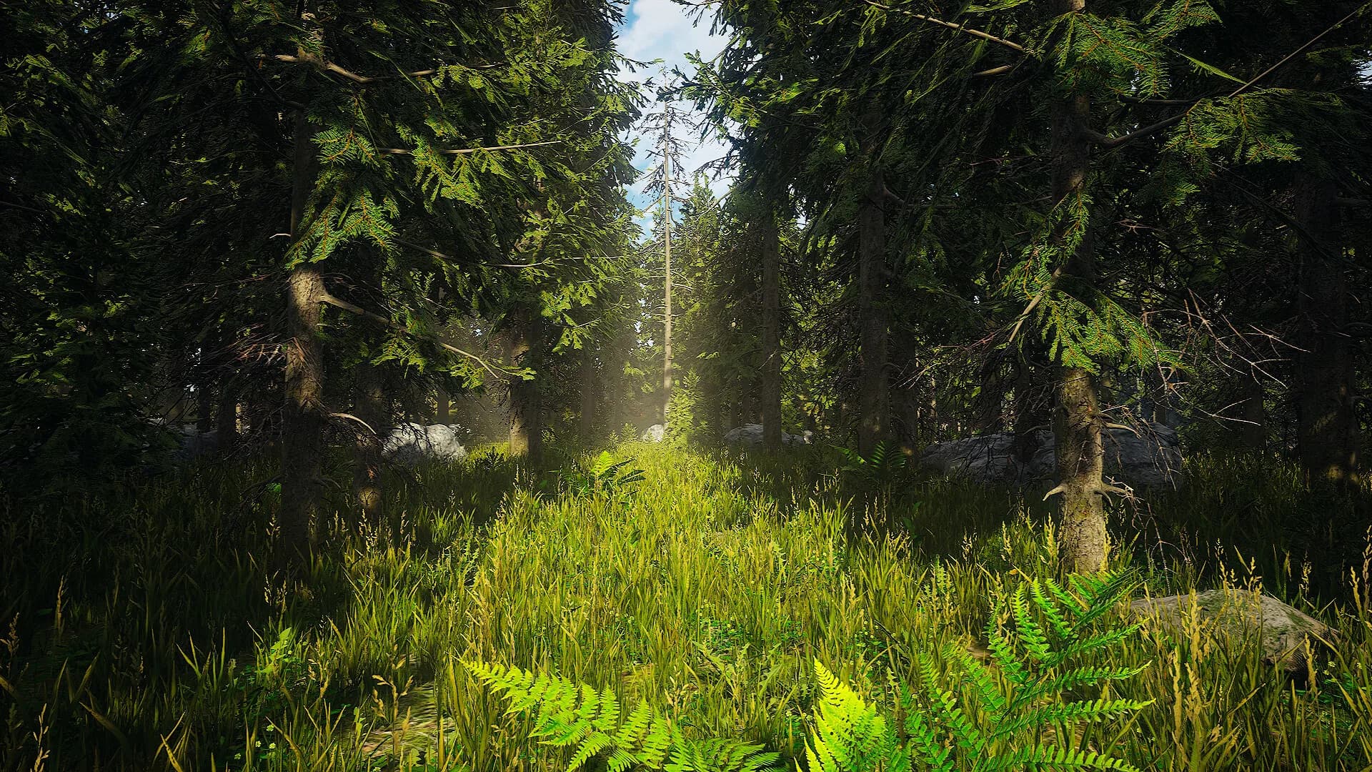 Impossible Survival görsel 12