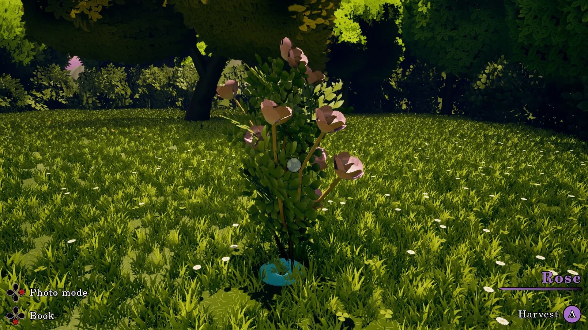 Flowerbloom Cottage görsel 4