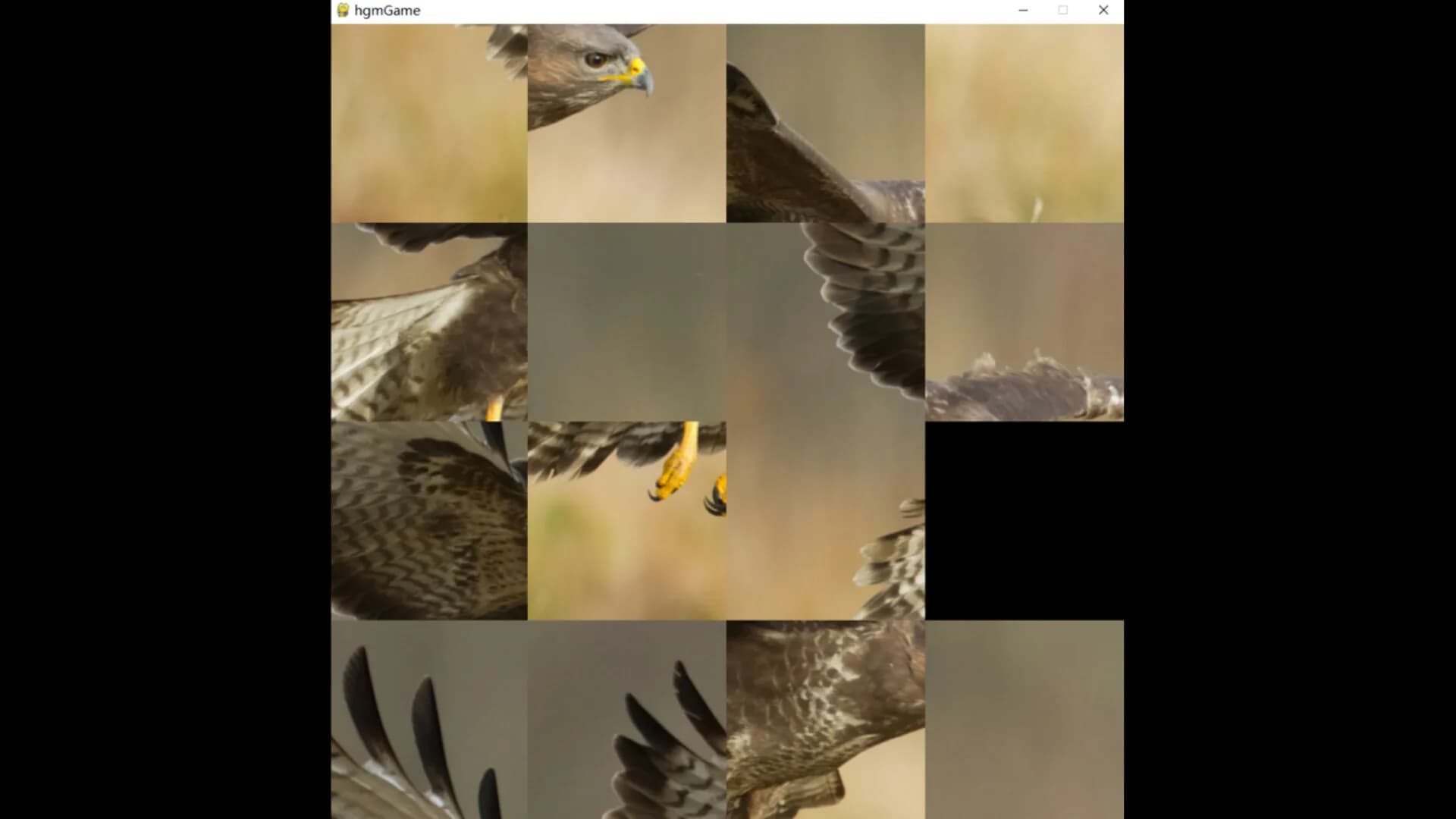 hgmGame-eagle görsel 2
