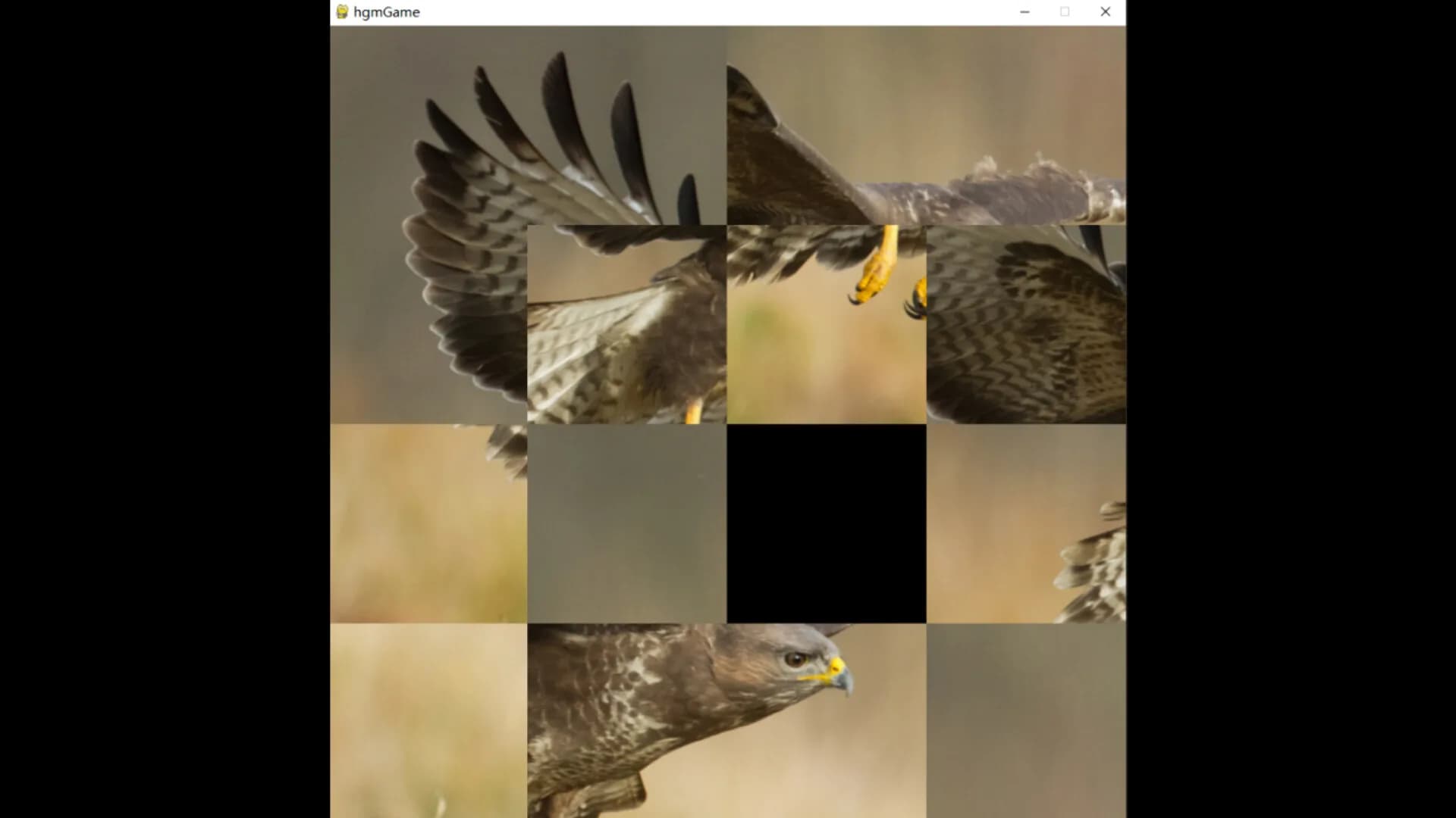 hgmGame-eagle görsel 3
