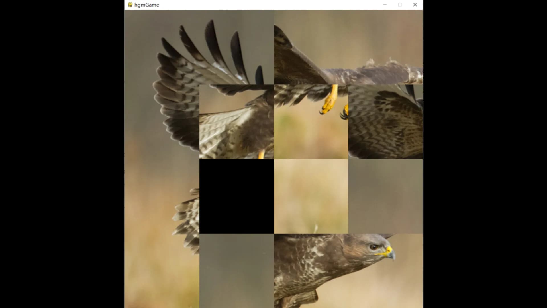 hgmGame-eagle görsel 4