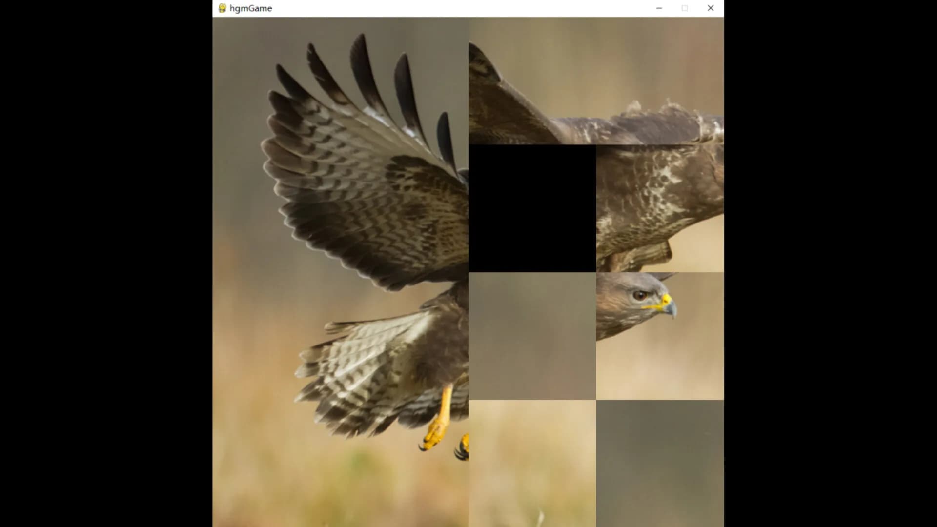 hgmGame-eagle görsel 5