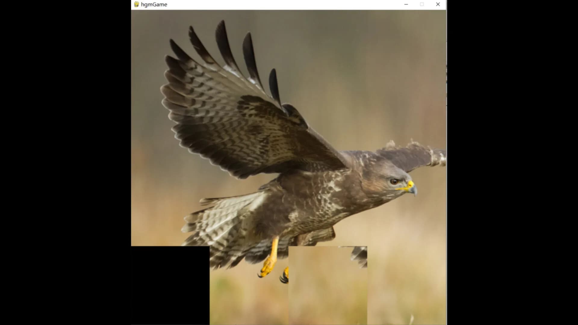 hgmGame-eagle görsel 6