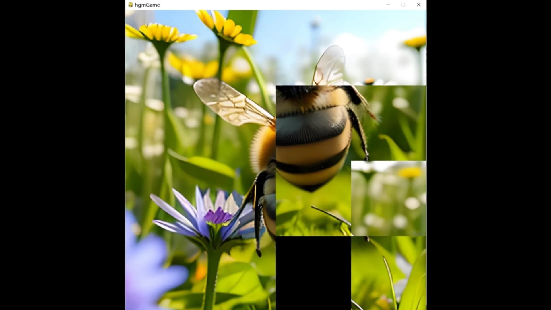 hgmGame-bee görsel 2