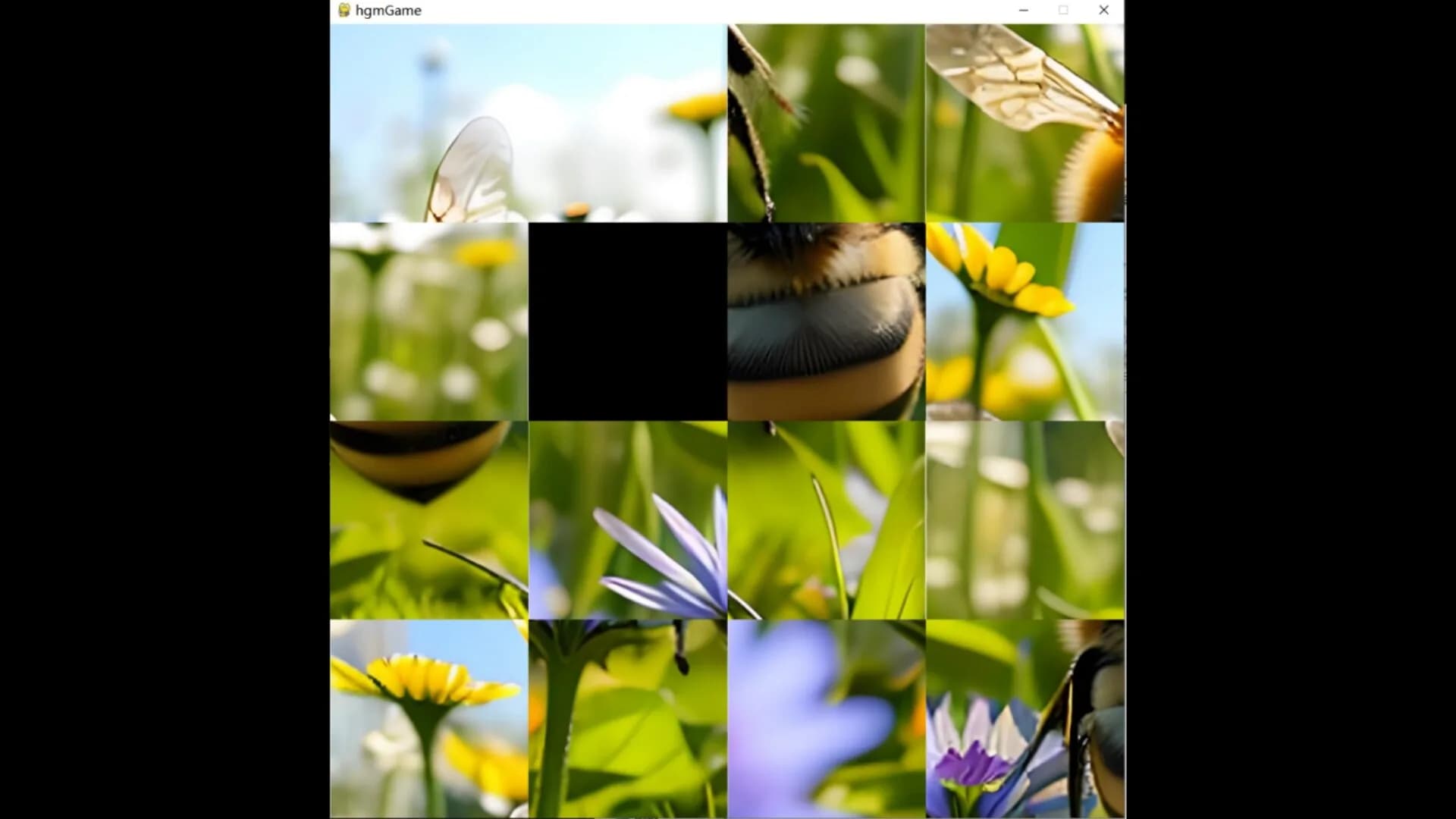 hgmGame-bee görsel 5