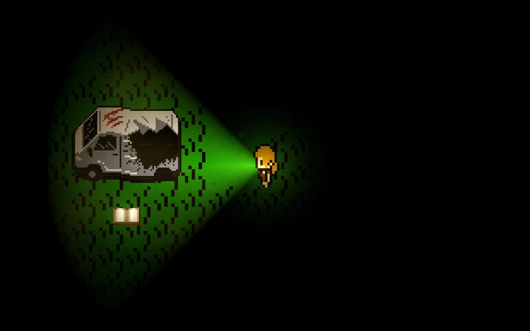 Nocturnal görsel 3