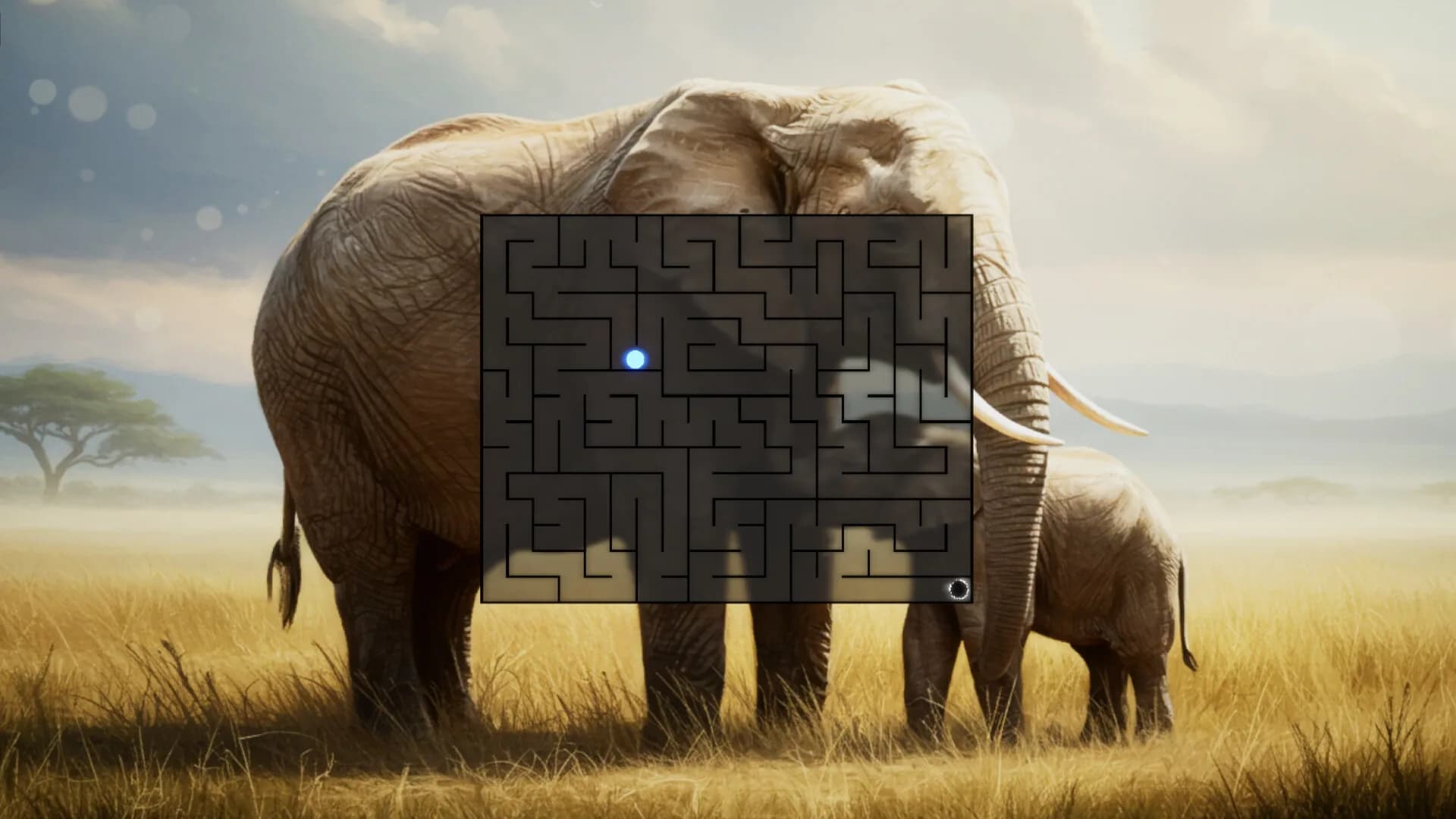 123 MAZES görsel 11