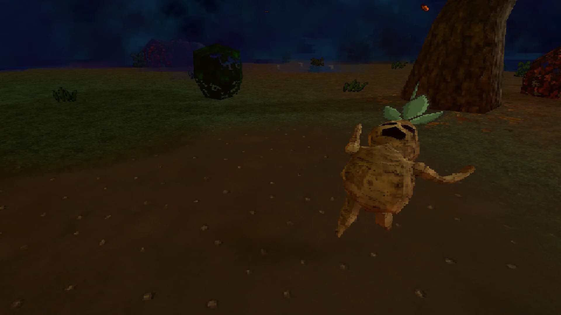 VeilWood görsel 7