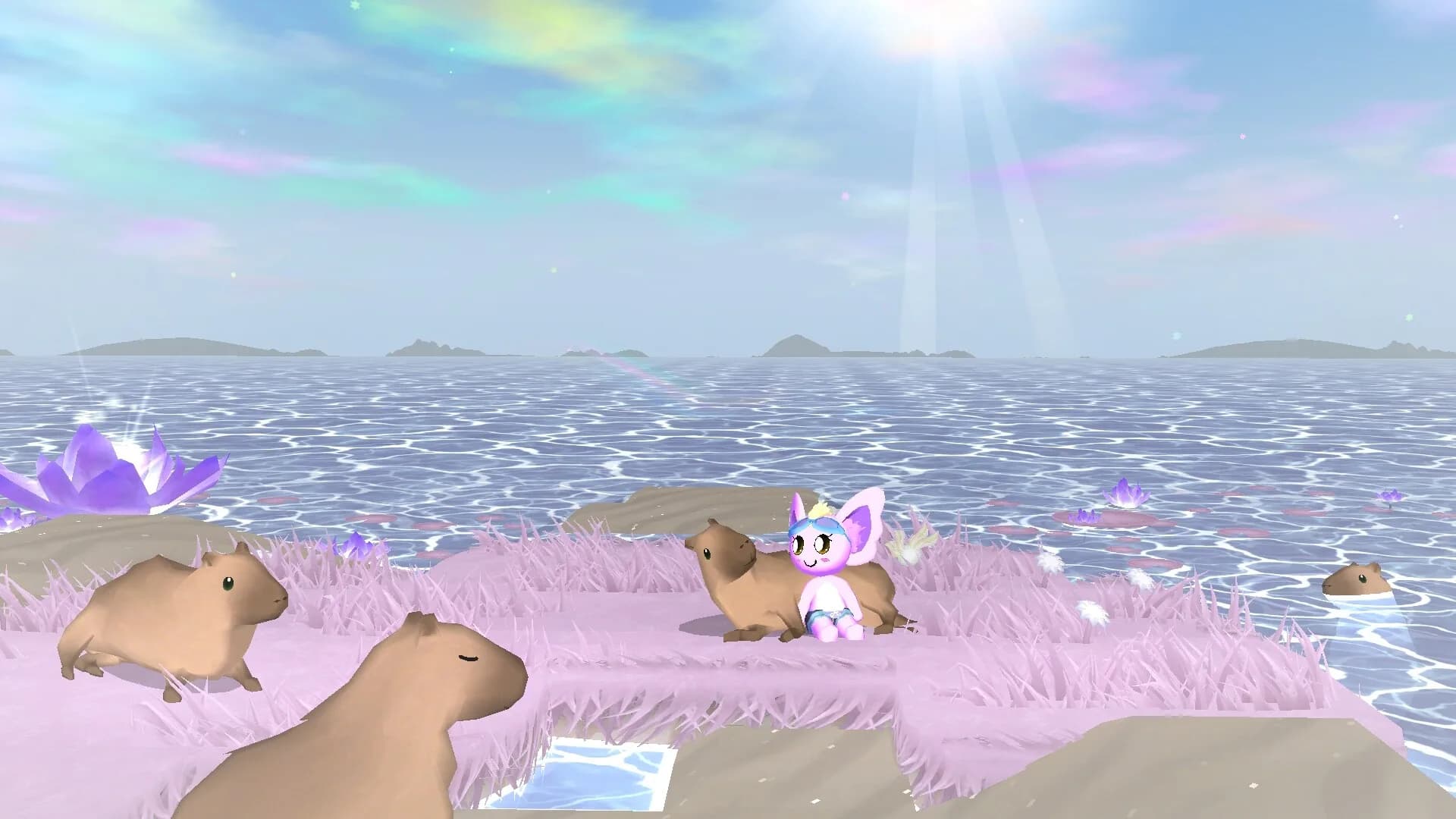 Sunfluffs görsel 2