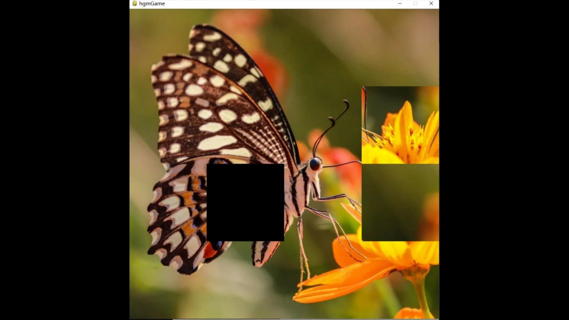 hgmGame-butterfly görsel 2