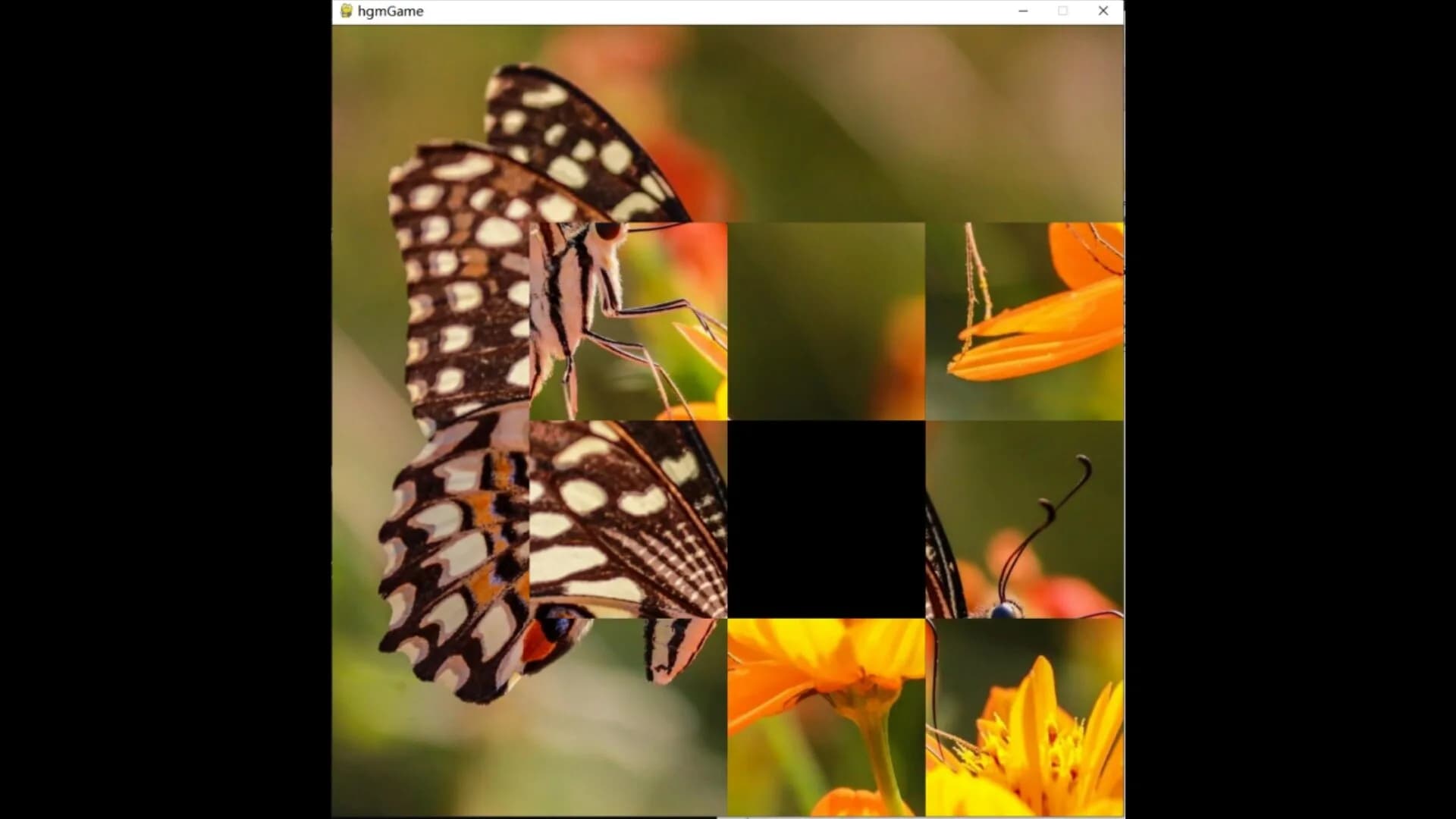hgmGame-butterfly görsel 3