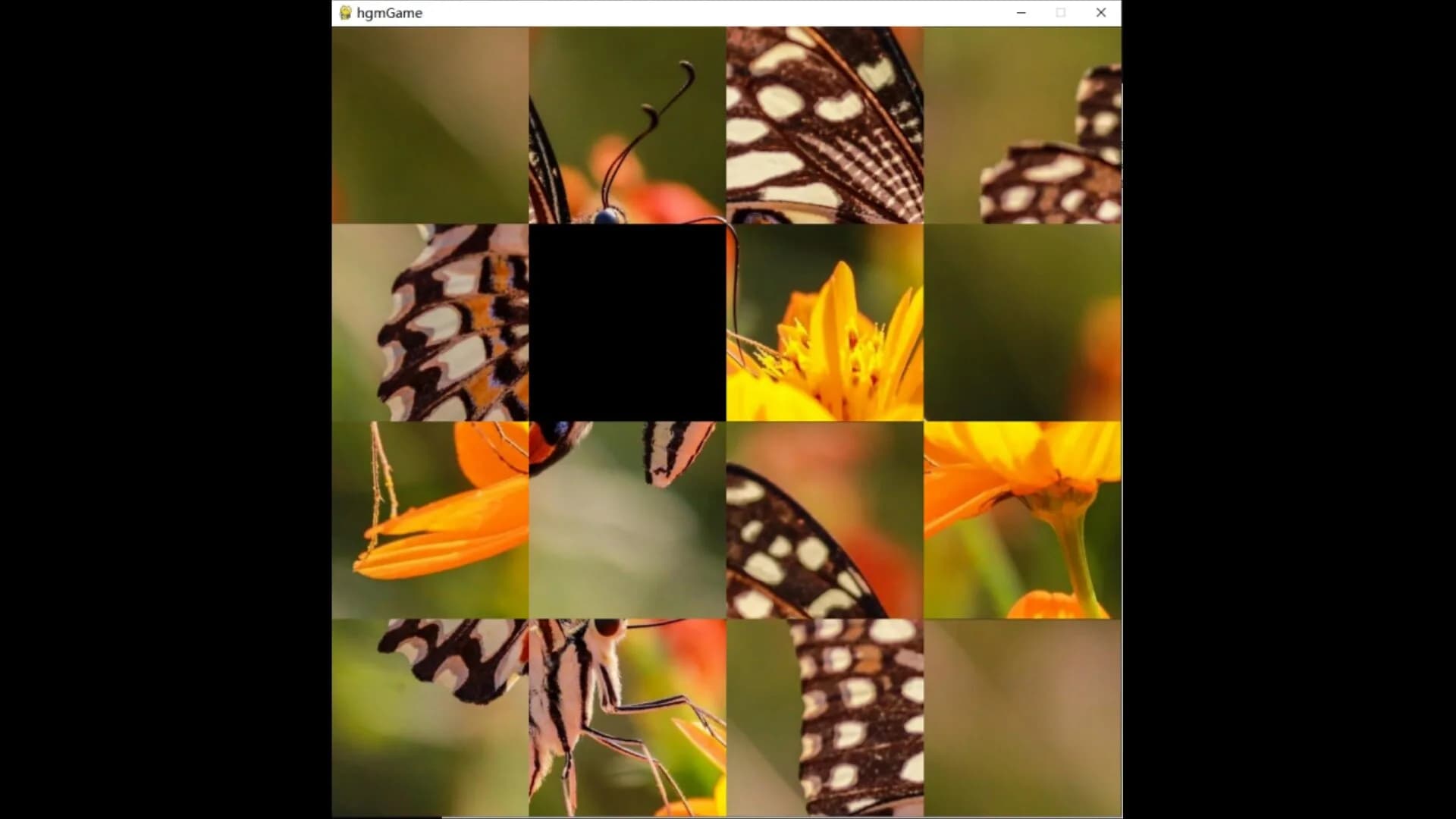 hgmGame-butterfly görsel 4