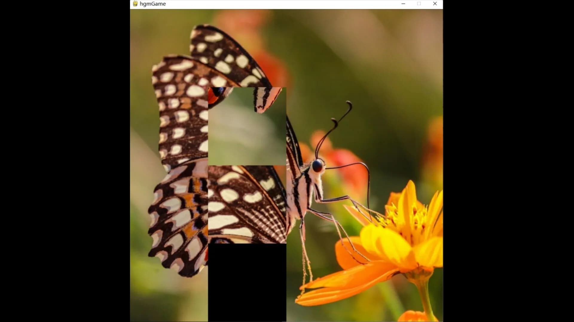 hgmGame-butterfly görsel 5