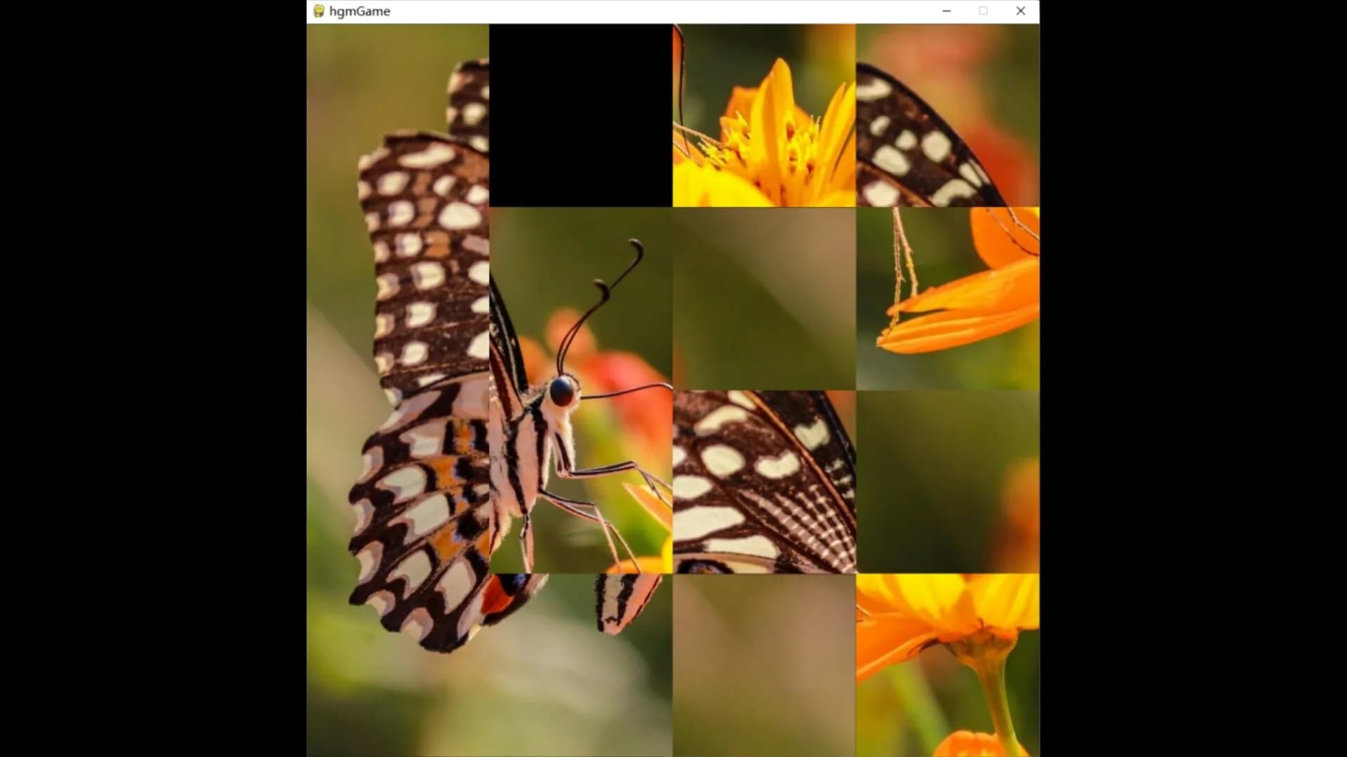 hgmGame-butterfly görsel 6