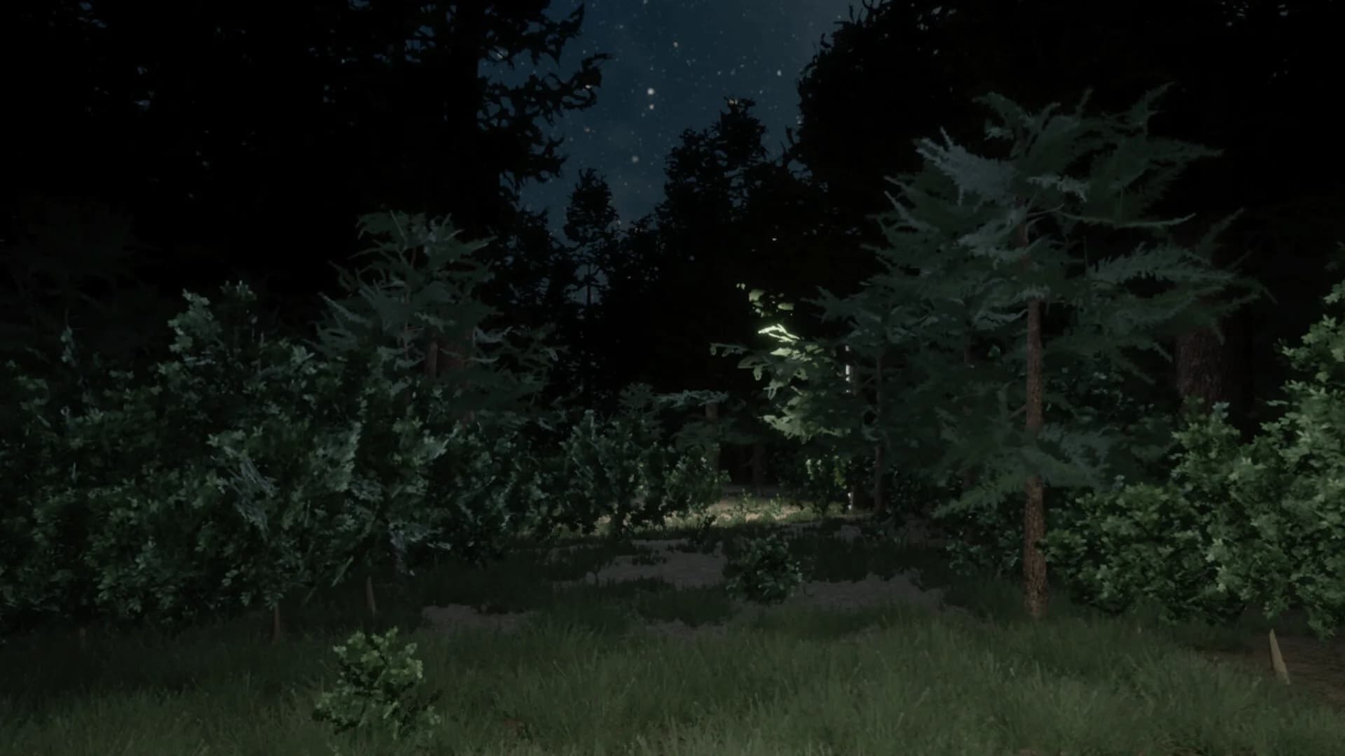 Darkness in the Forest görsel 6