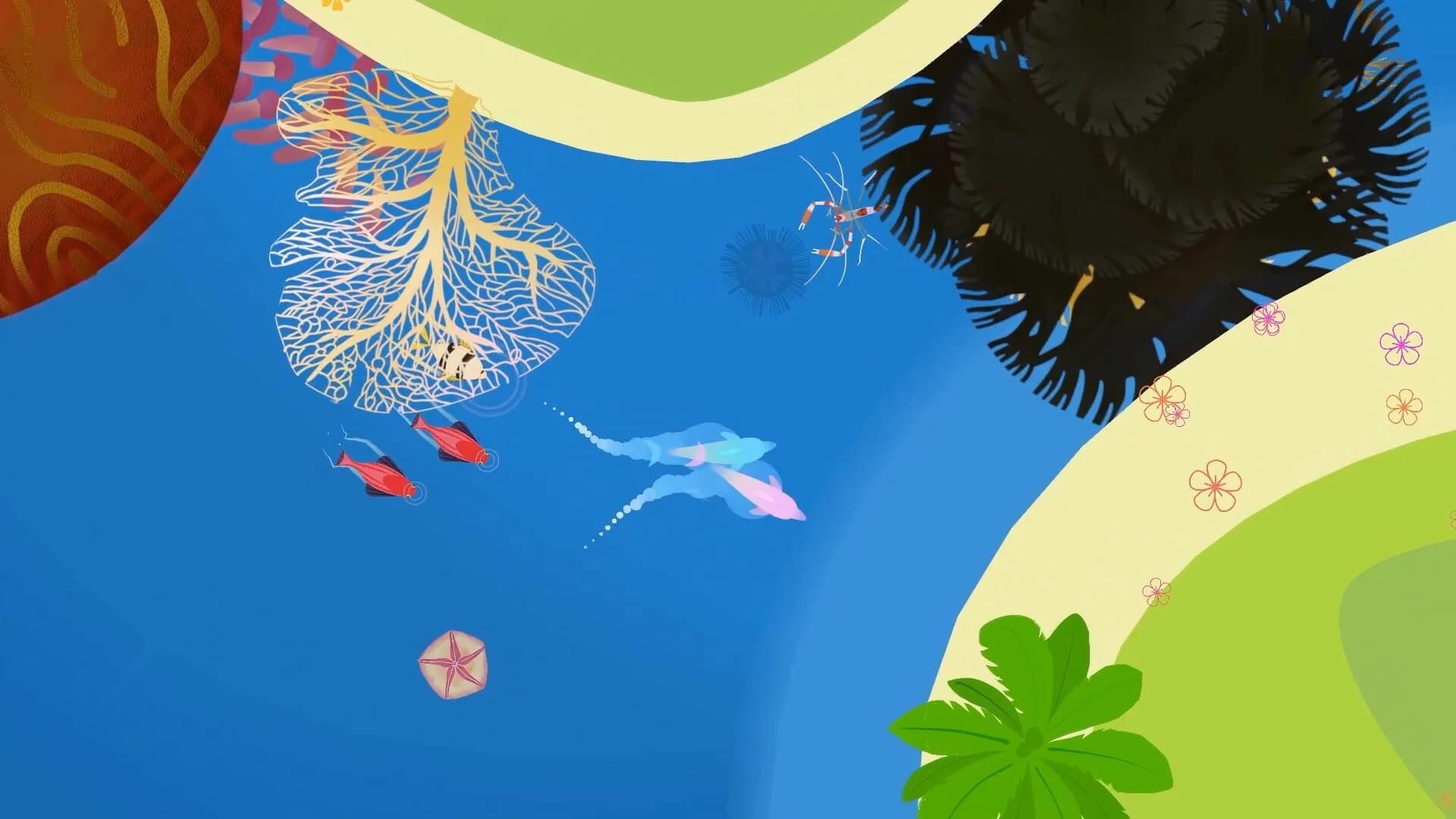 Delfini görsel 3