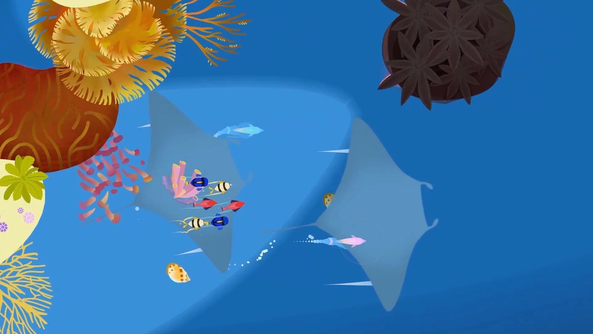 Delfini görsel 5