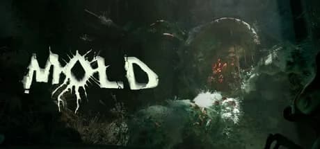 MOLD görsel 1