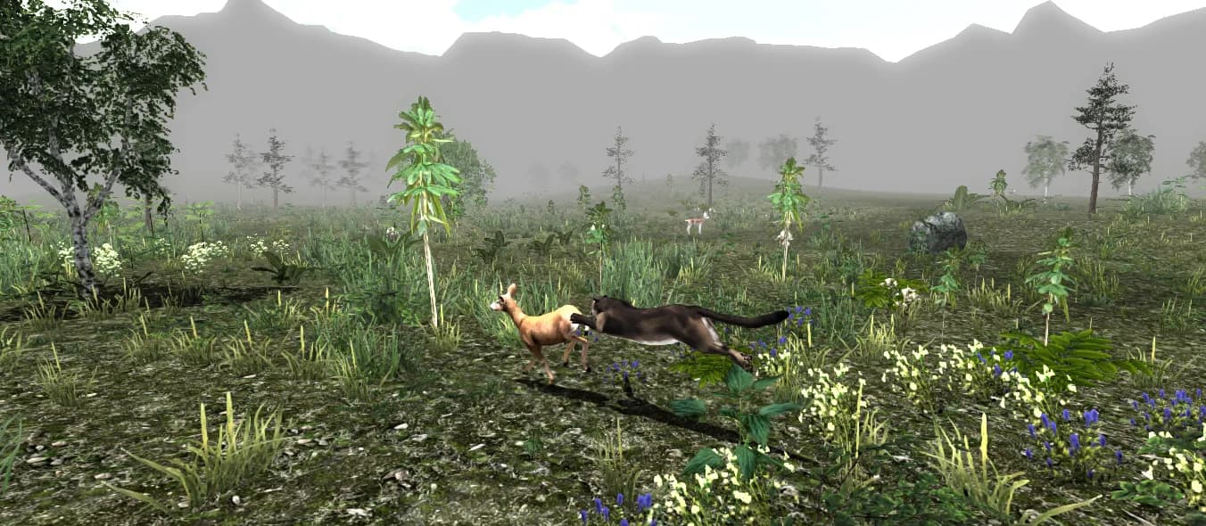 Untamed: Life Of A Cougar görsel 11