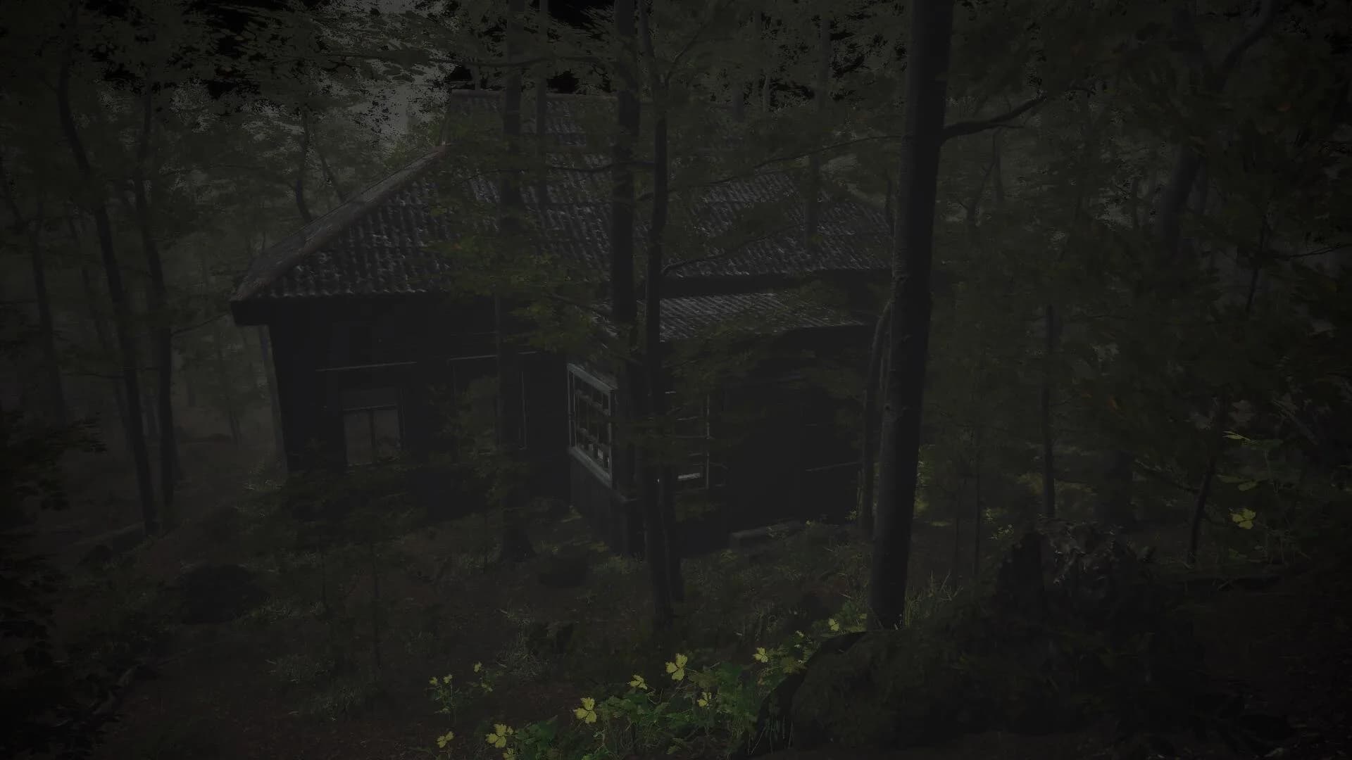 The Overnight Screening görsel 6