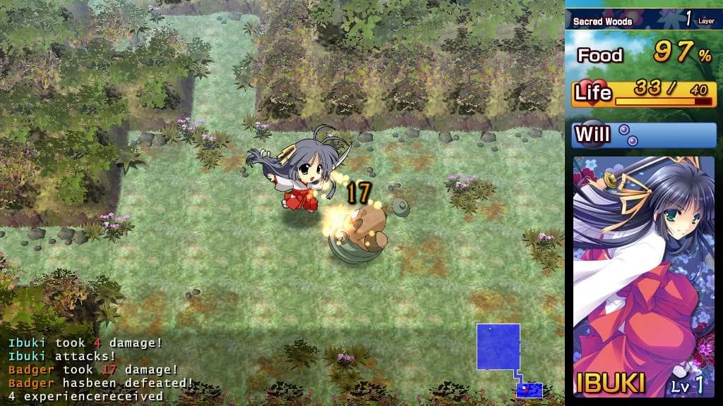 Kagura Douchuuki görsel 3