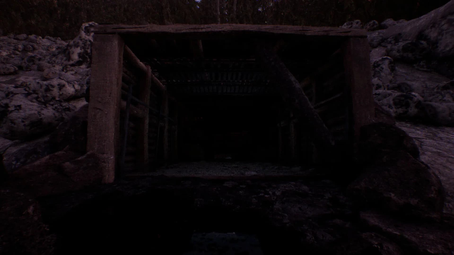 The Watching Woods: The Louse görsel 6