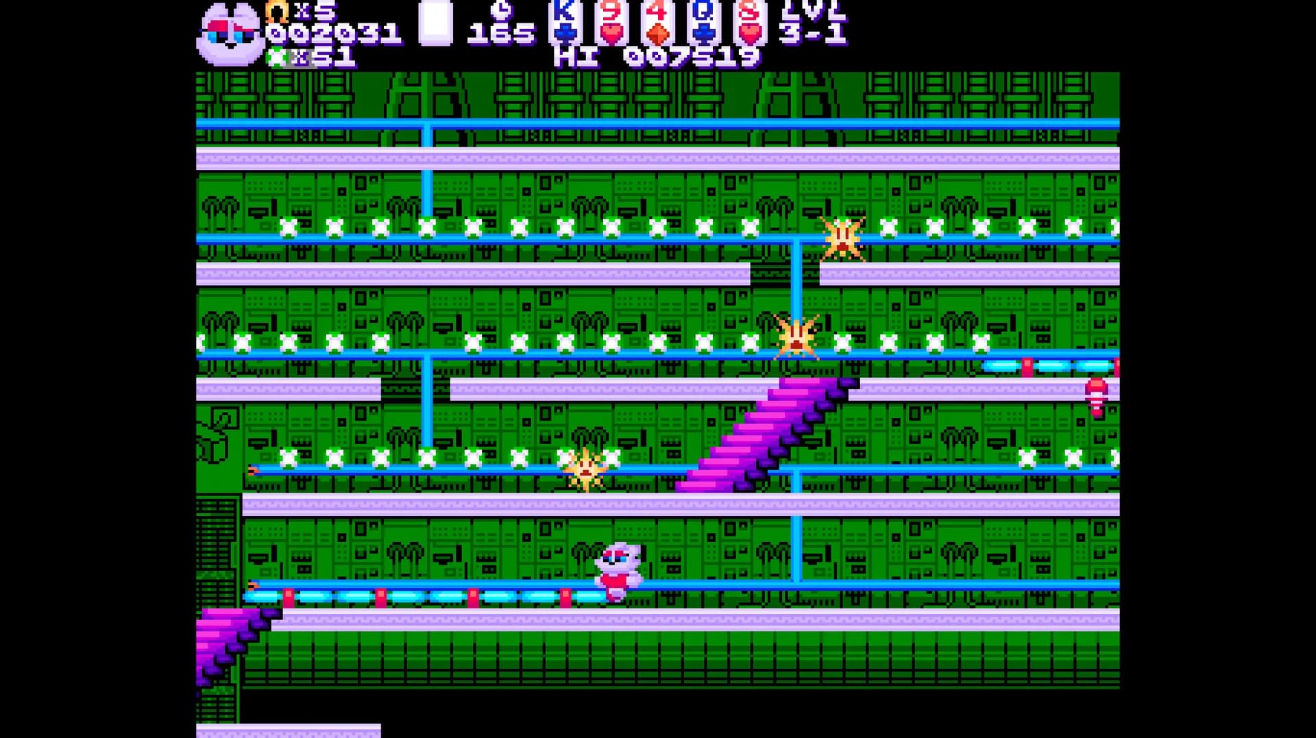 Black Cat Bundle görsel 3