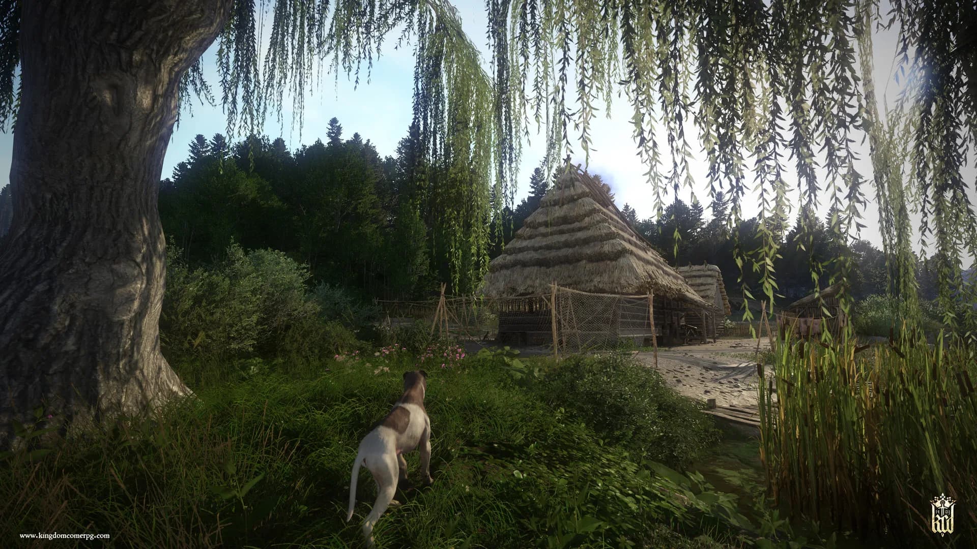 Kingdom Come: Deliverance görsel 8