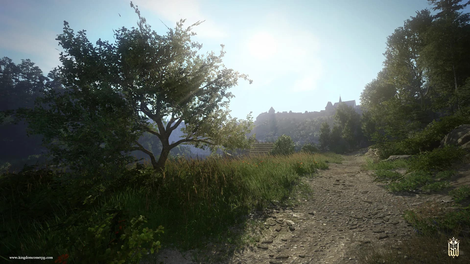 Kingdom Come: Deliverance görsel 9
