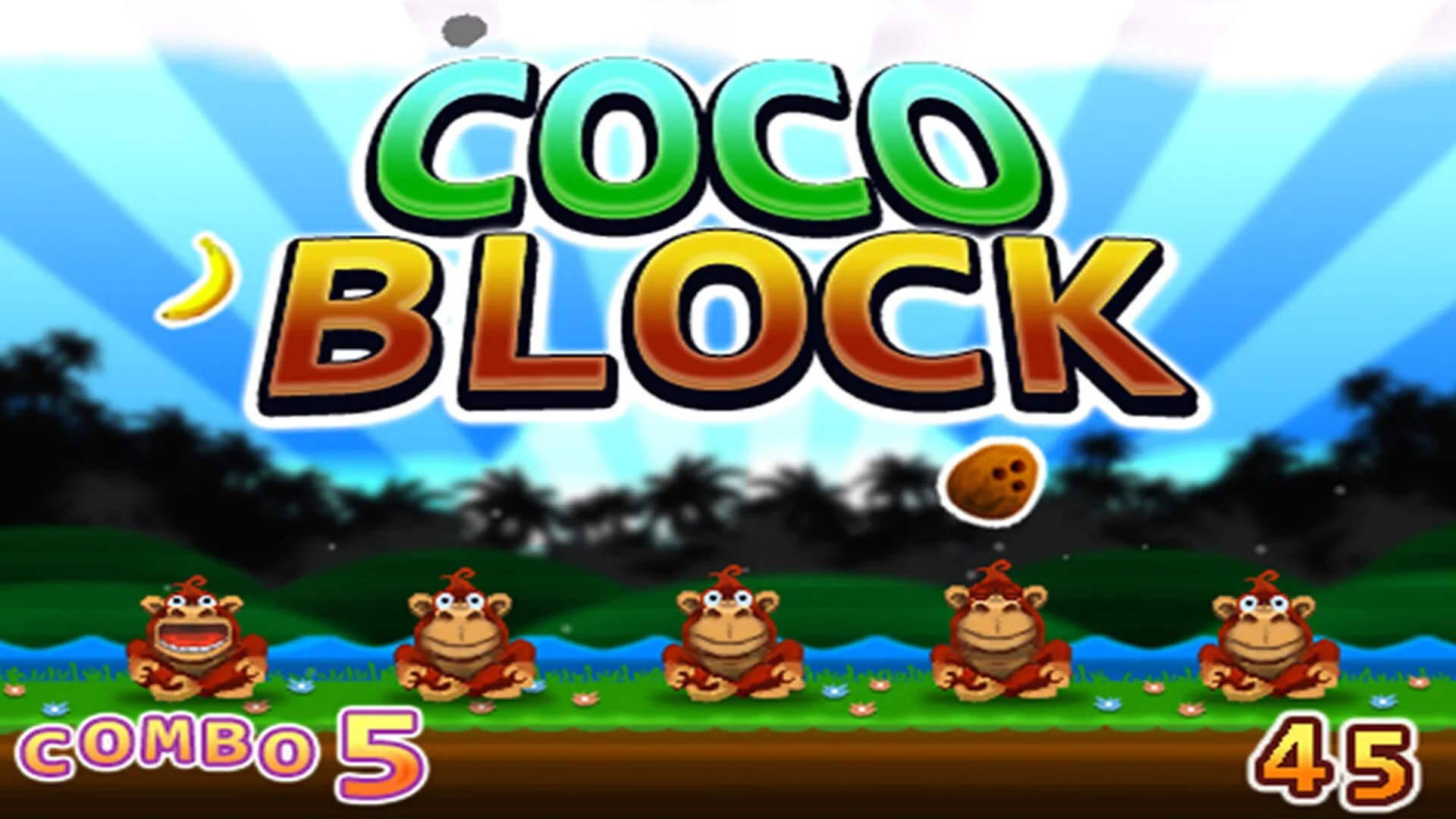 Coco Block görsel 3