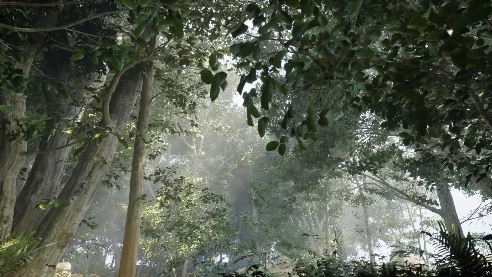 Sisli Kaplıca Misty Onsen görsel 27