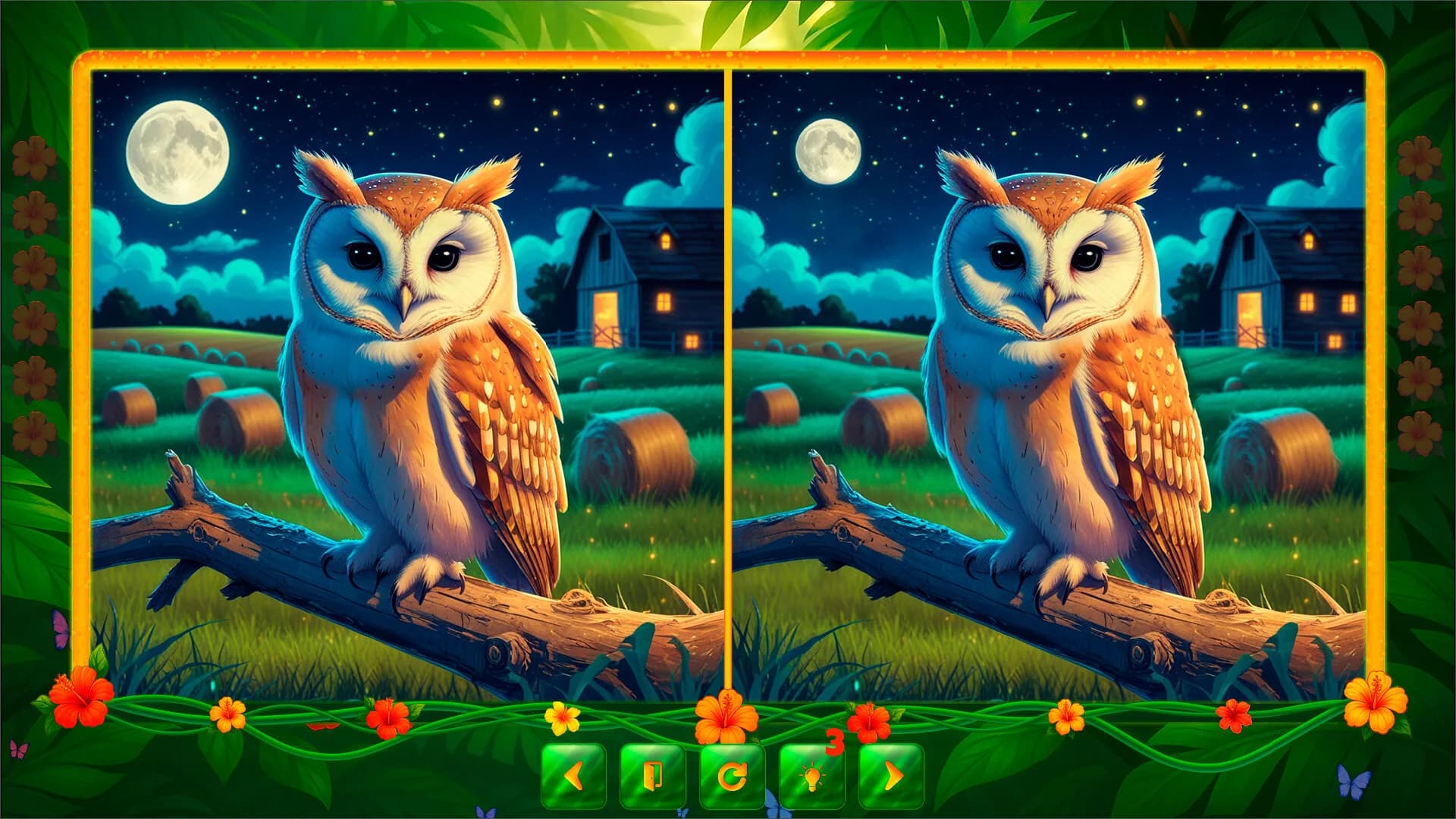 BirdQuest  Find the Difference görsel 6