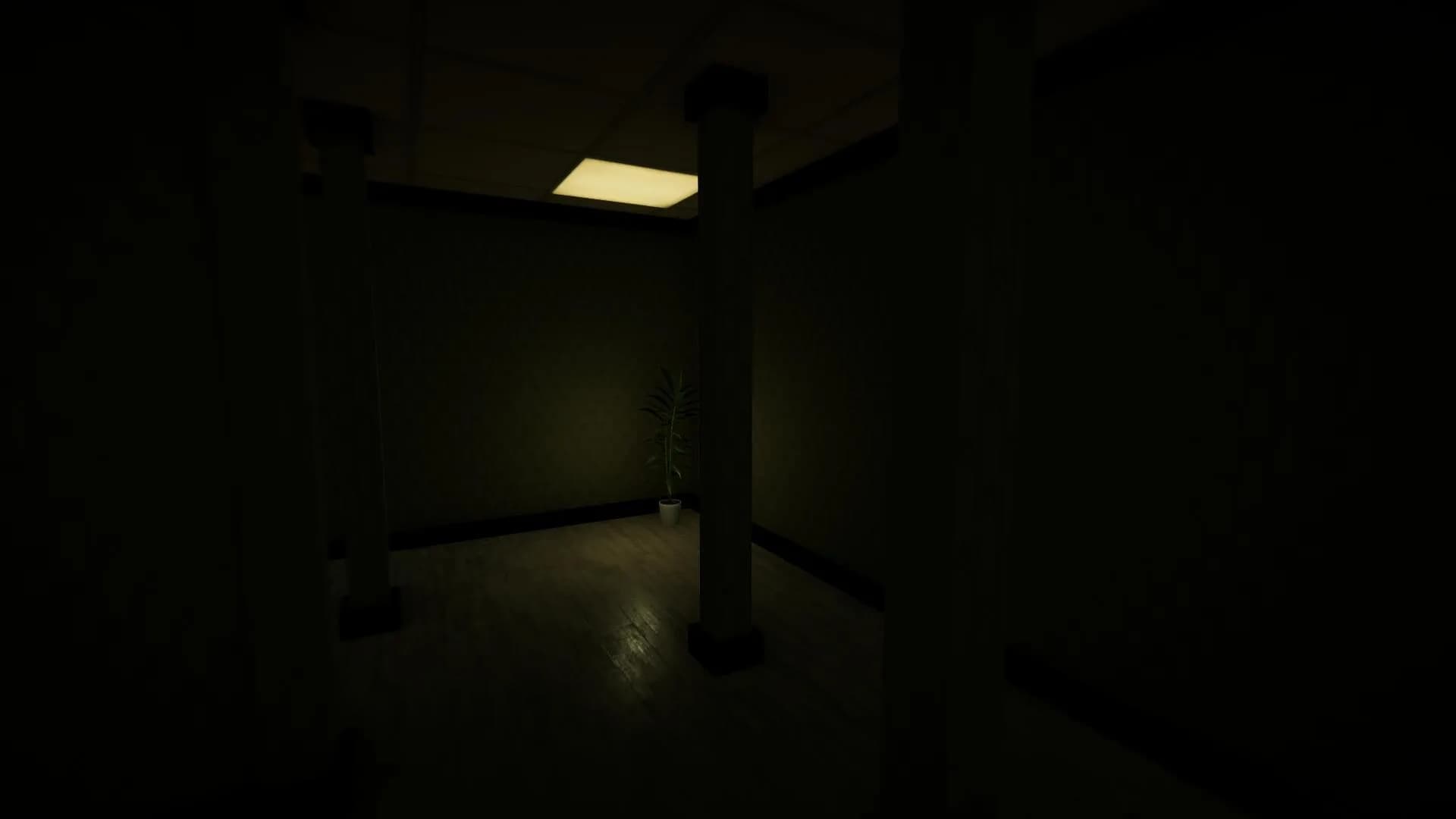 Backrooms: Noise görsel 5