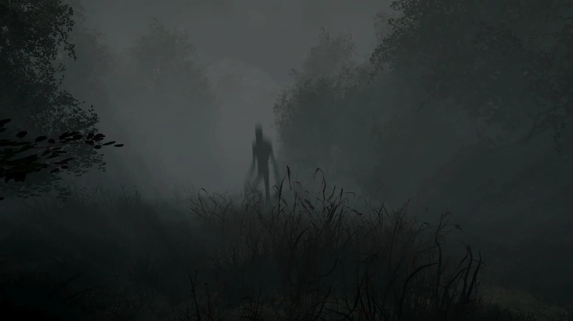 Whispering Fog görsel 2