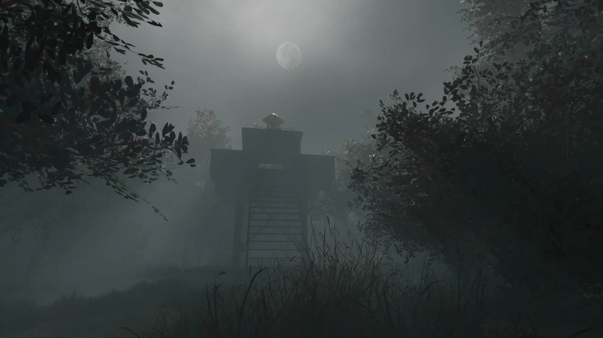Whispering Fog görsel 6