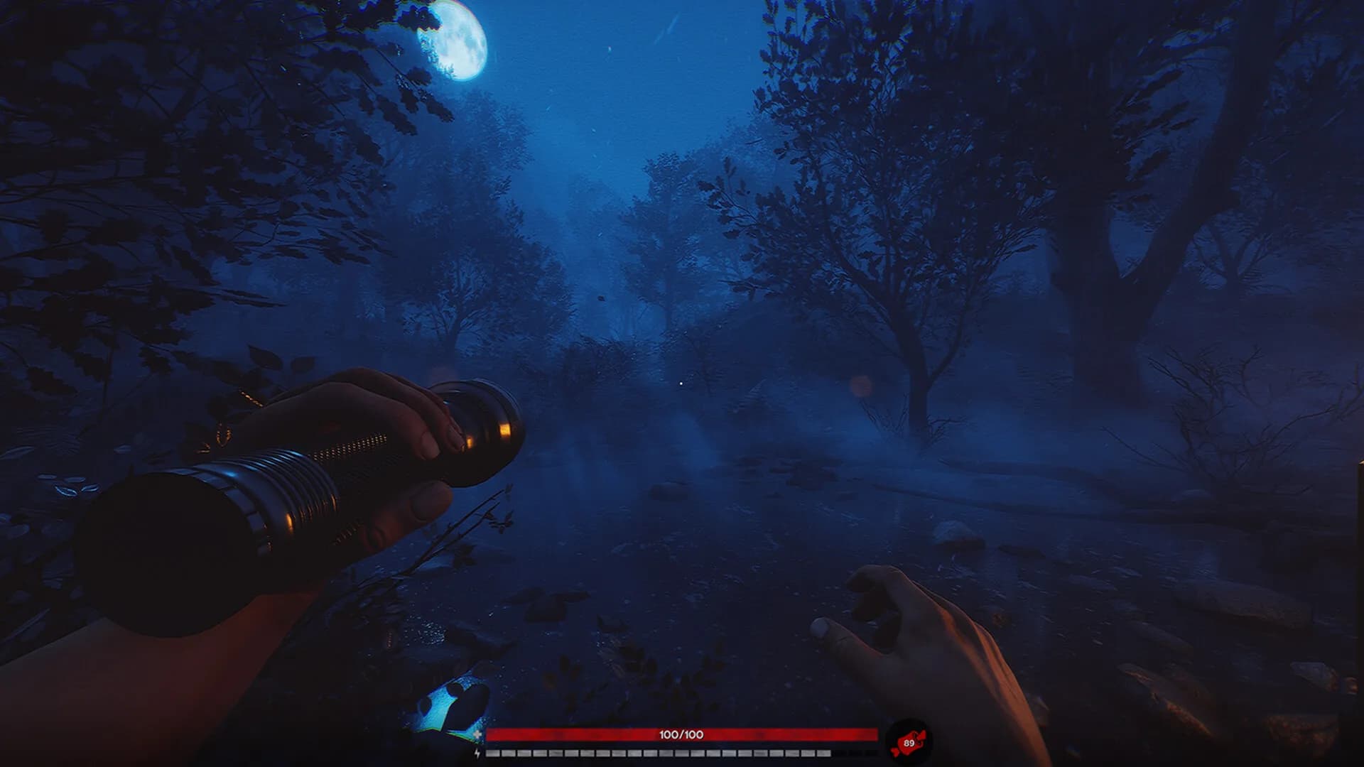 Blood Bear görsel 12