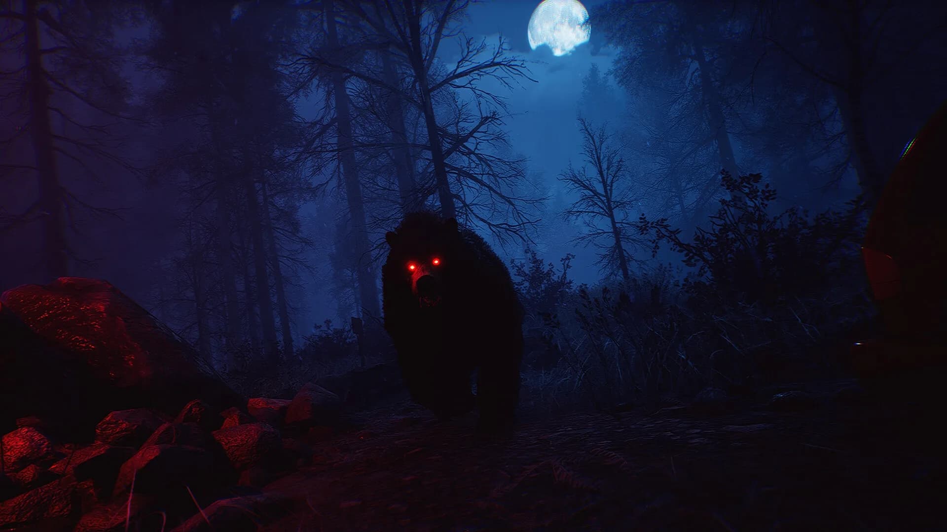 Blood Bear görsel 16