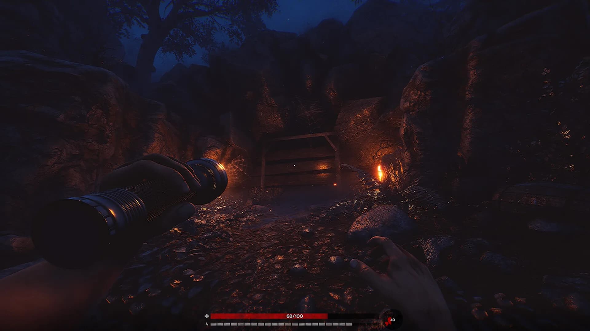 Blood Bear görsel 9
