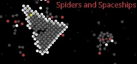 Spiders and Spaceships