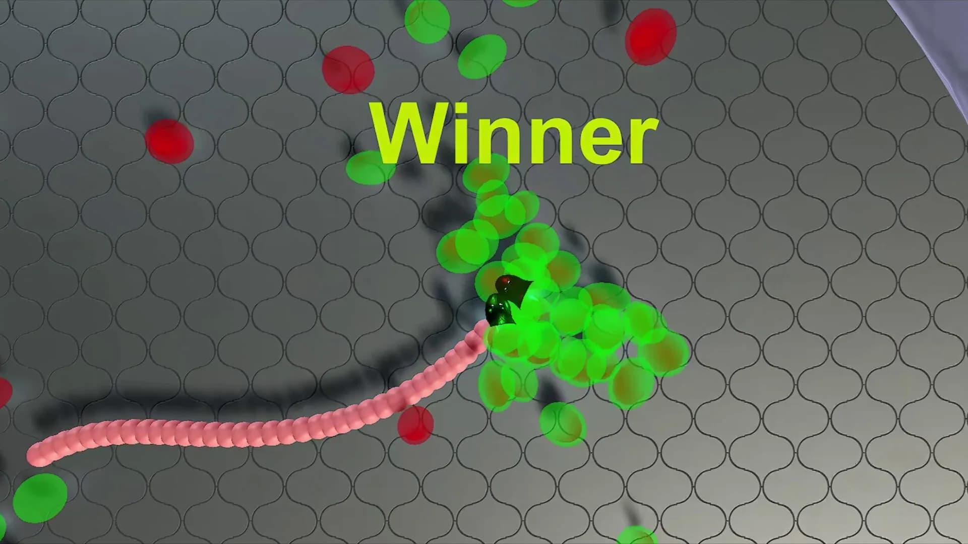 Snekteks görsel 2