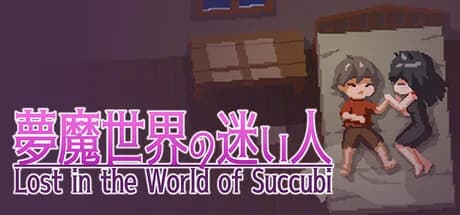 Lost in the World of Succubi