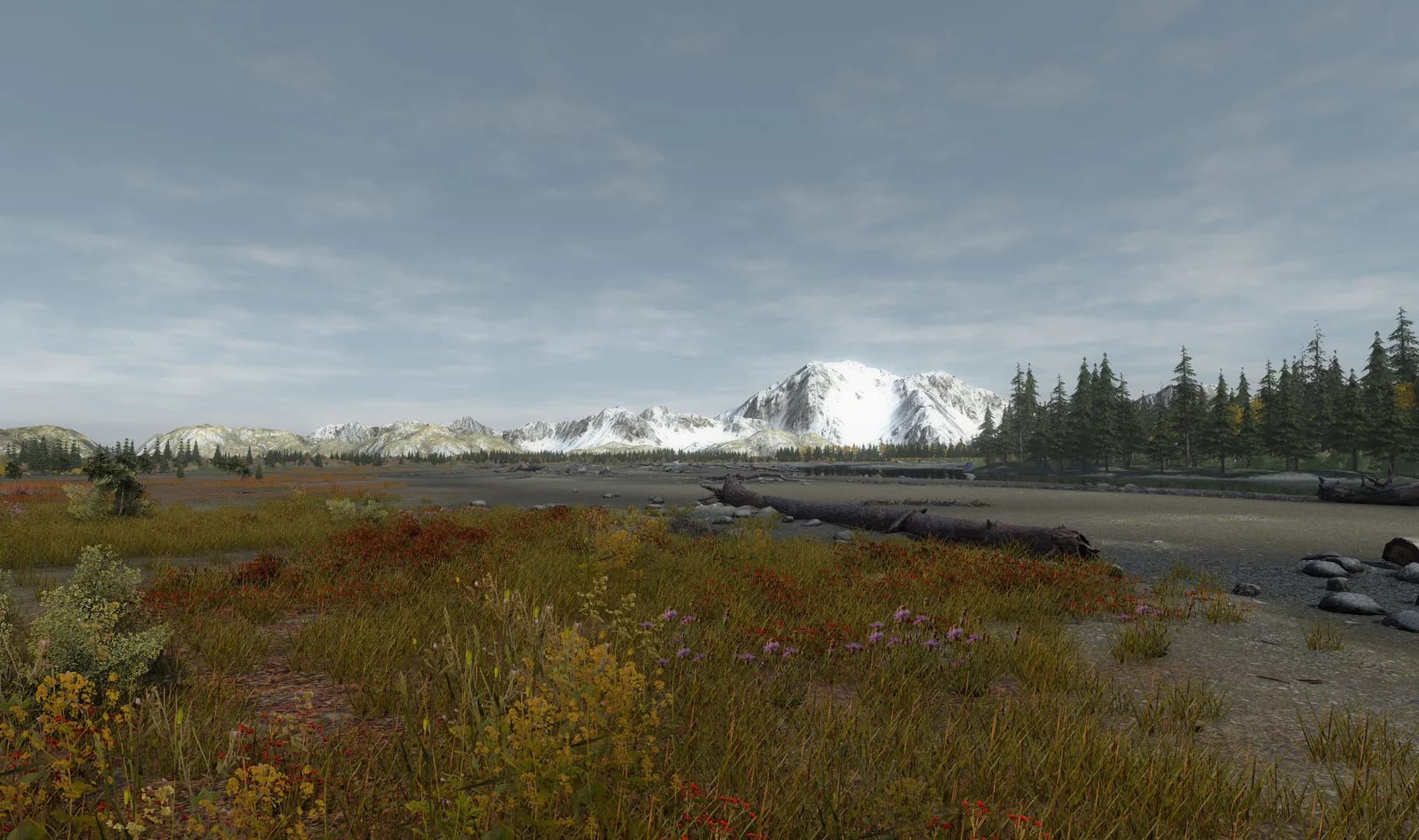 Fishing Planet görsel 11