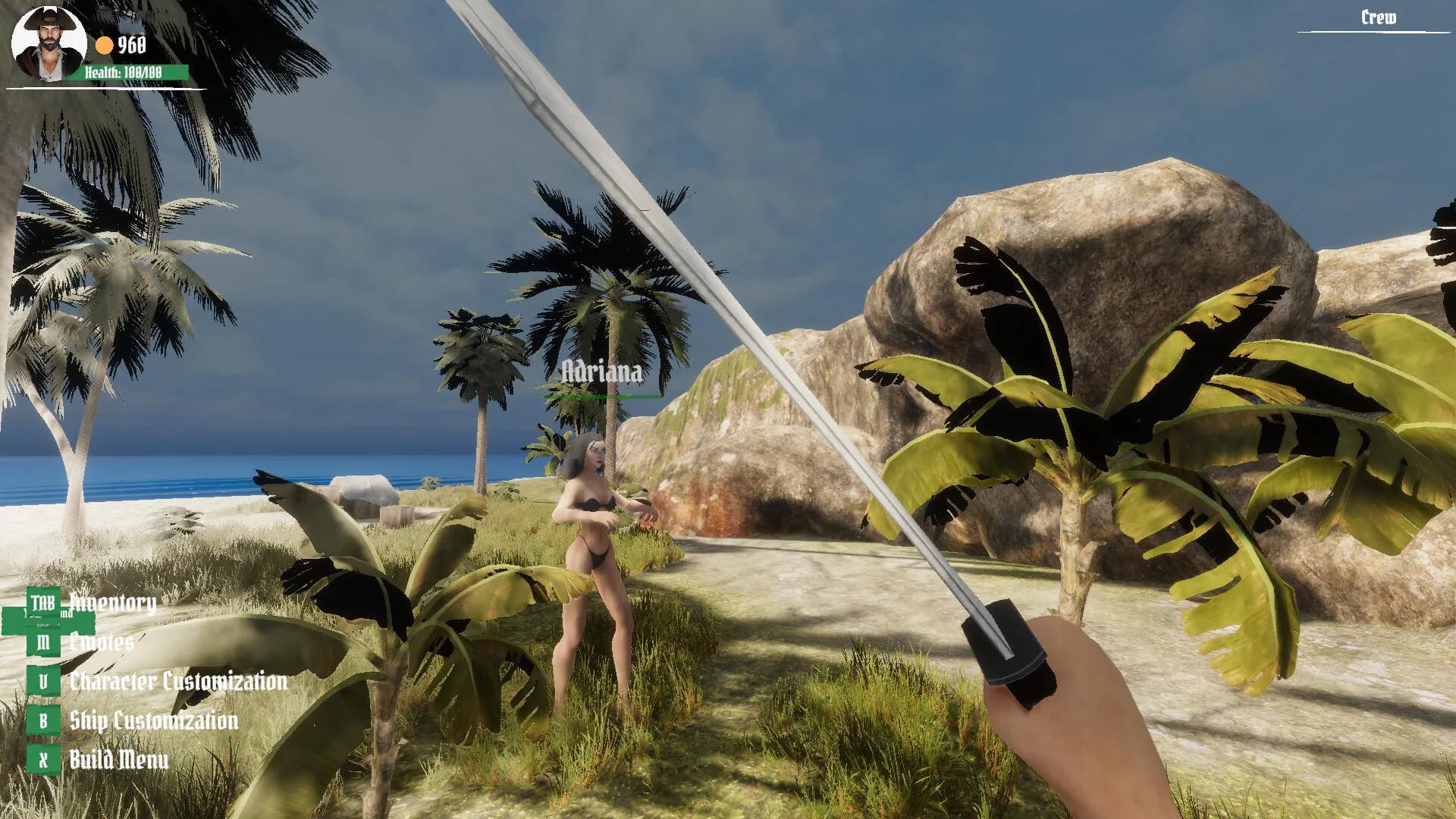 Pirate Skulls and Sails Online görsel 9