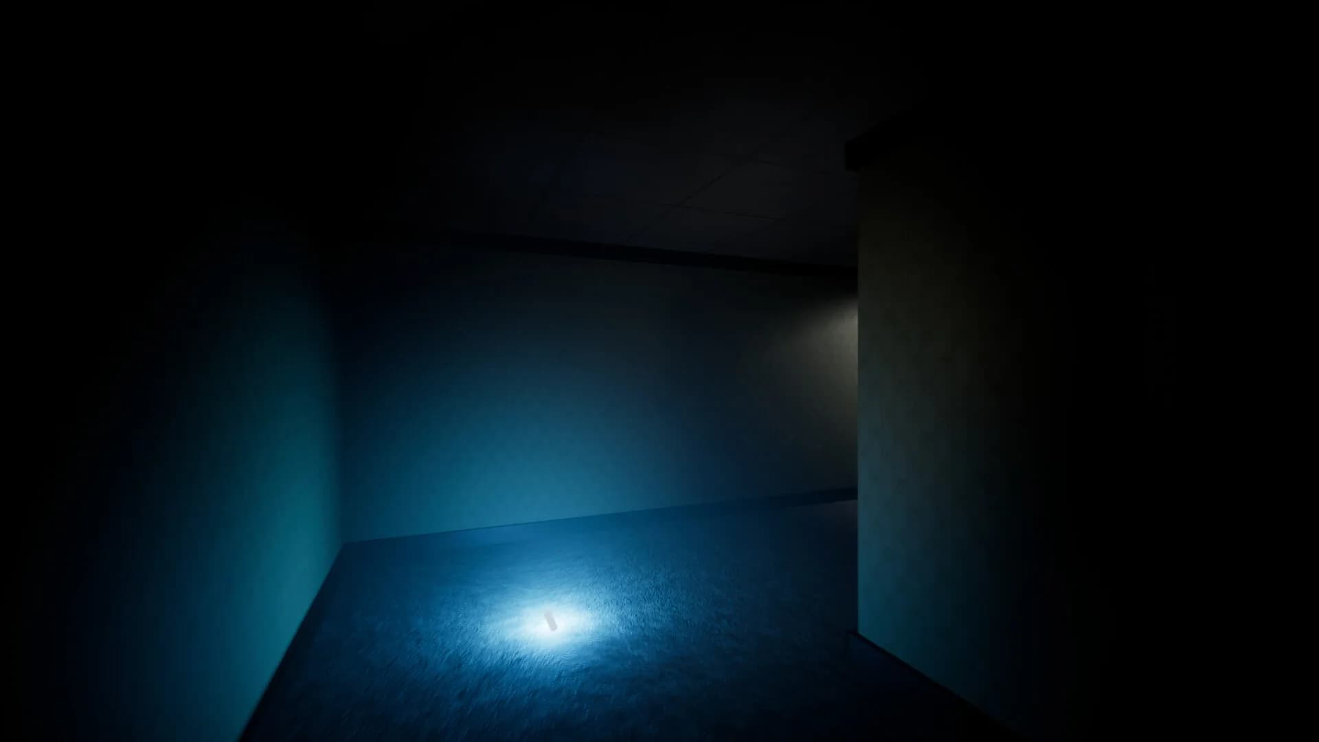 Backrooms: Glitchfield görsel 8