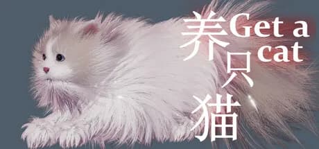 Get a cat görsel 1