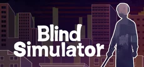 BlindSimulator görsel 1