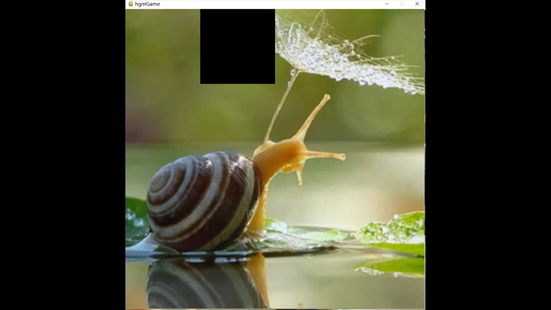 hgmGame-snail görsel 2