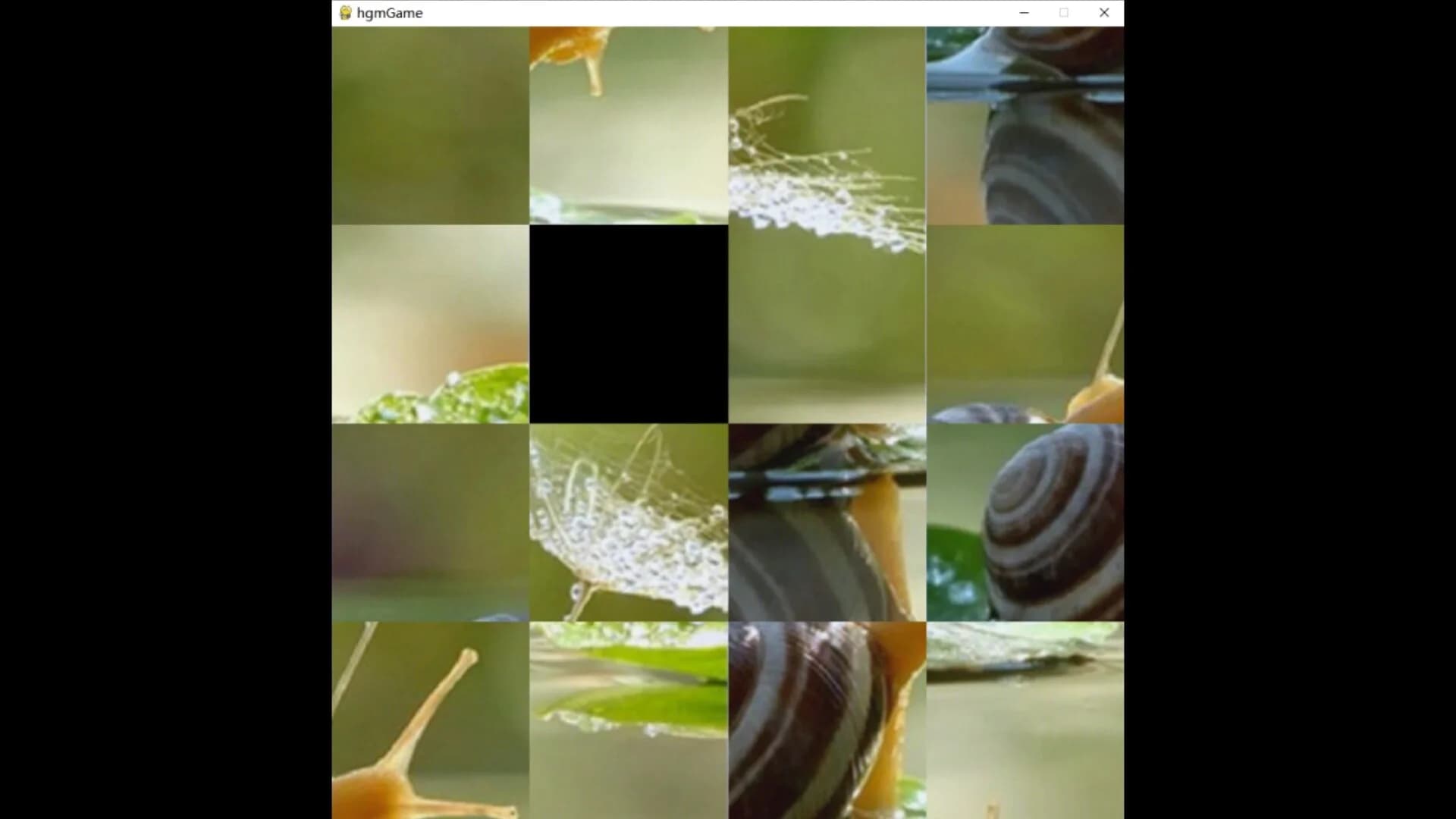 hgmGame-snail görsel 3