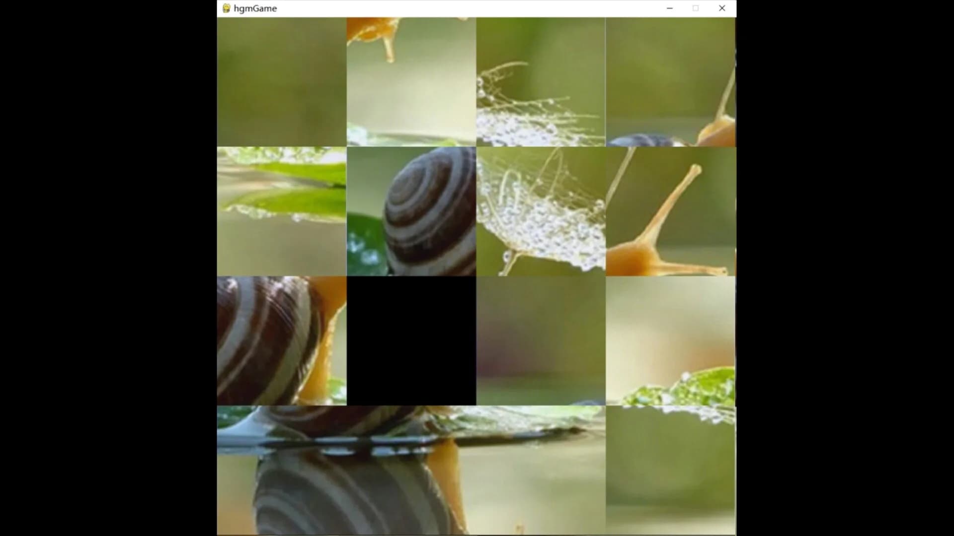hgmGame-snail görsel 4